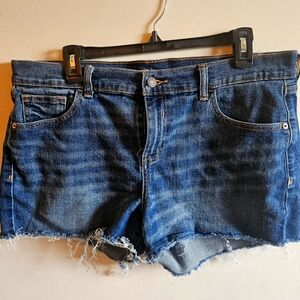 Blue Jean Shorts with Frayed Hem and Distressed Design